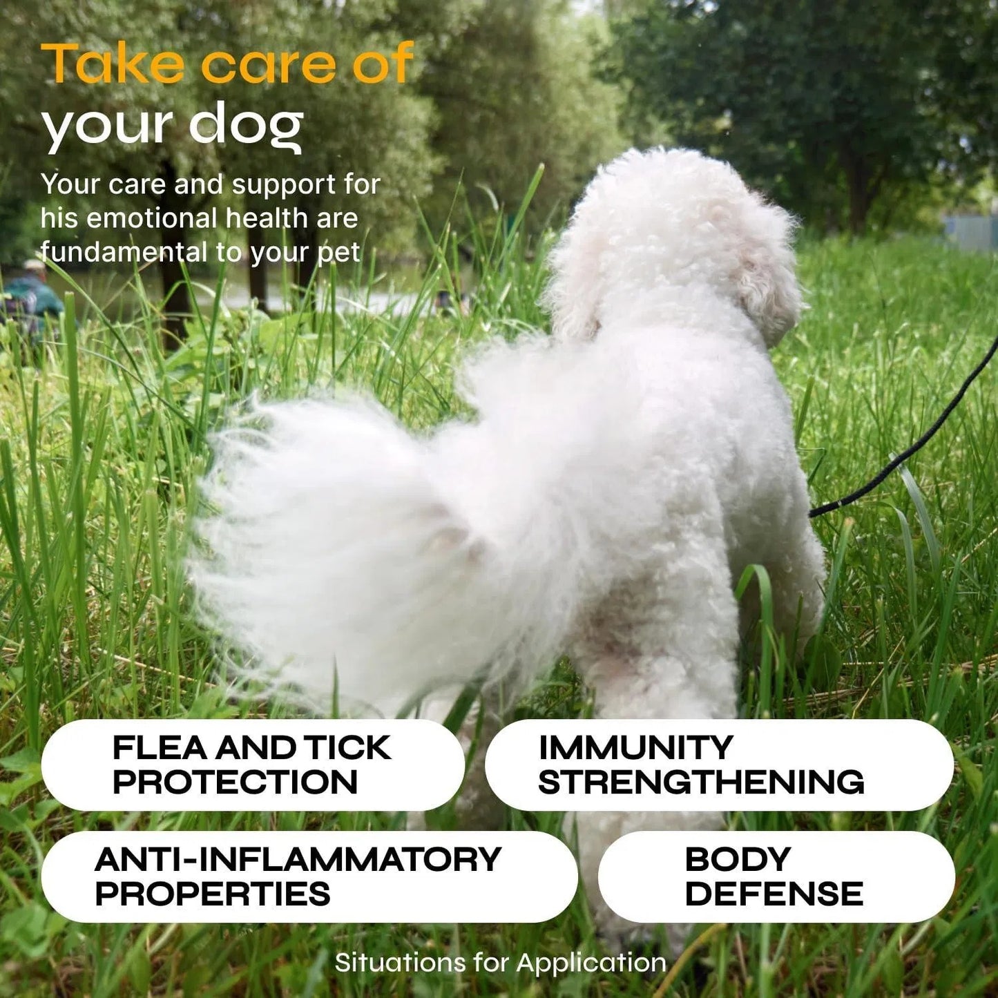 Vet-Formulated Flea & Tick Prevention Chews for Dogs Immune Support + Flea Tick Control - Soft Treats All Breeds & Ages - Natural Flea Tick Supplement