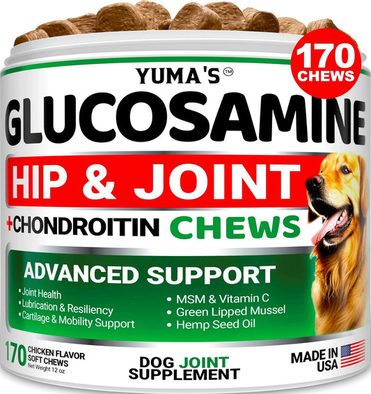Advanced Hip & Joint Supplement for Dogs - Glucosamine Chondroitin MSM Chews 170 Ct Joint Pain Relief Treats - All-Breed Joint Health Support Delicious Soft Chews for Arthritis, Mobility & Daily Care