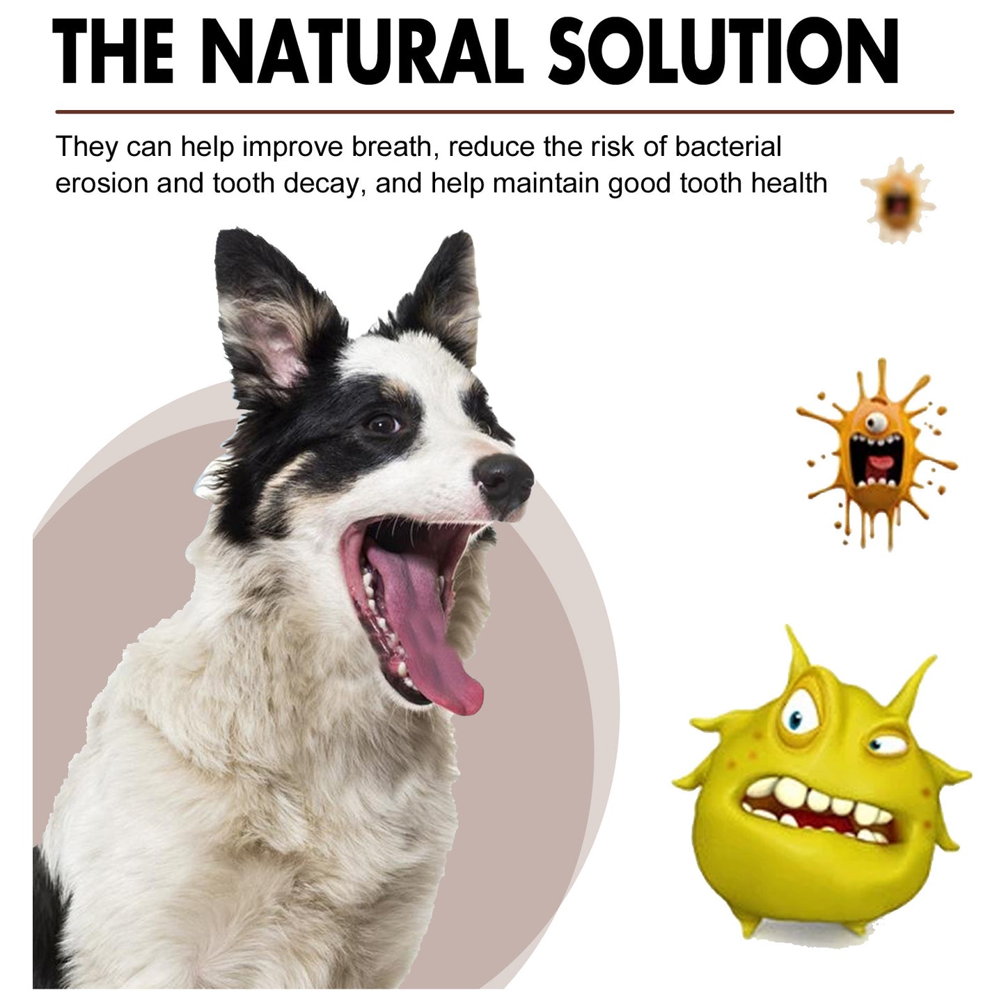 Pet Tooth Cleaning Spray 99% Oral Bacteria Killer Enzyme-Activated Formula Quick Bad Breath Elimination Plaque Tartar Remover Pet Dental Care Spray for Dogs Cats Oral Hygiene Pet Supplies