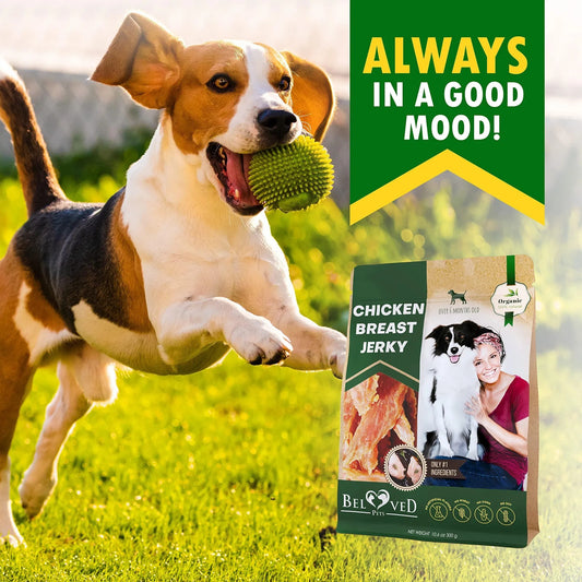 Chicken Jerky Dog Treats All Natural And Organic Healthy Snacks For Large & Small Dogs Grain Free And High Protein Human Grade Pet Chews