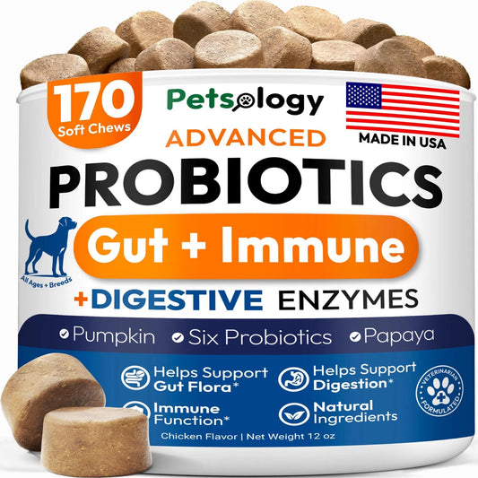 Probiotic Chews for Dogs - 170 Count with Digestive Enzymes & Prebiotics - Gut Health Support Relieves Diarrhea, Gas & Constipation - Allergy Itchy Skin Yeast Balance - All Breeds & Ages Pet Supplement