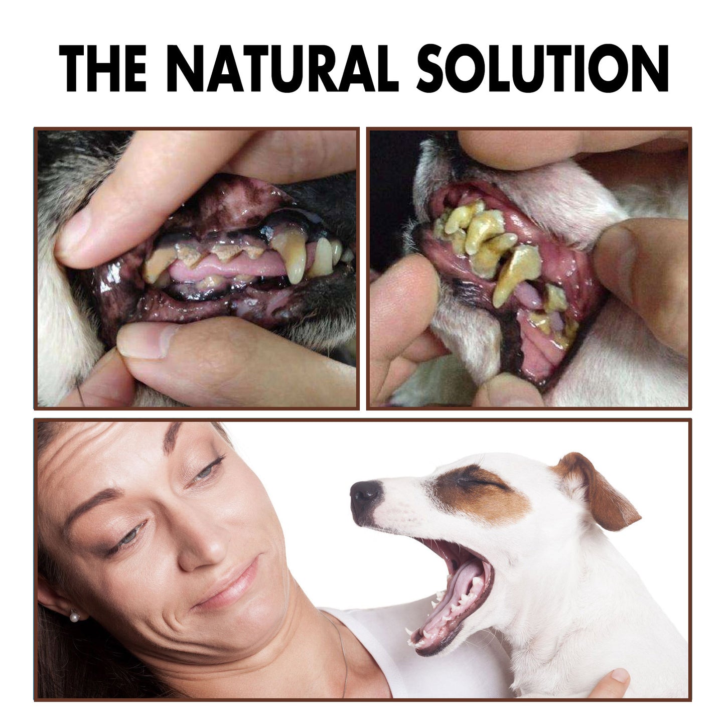 Pet Tooth Cleaning Spray 99% Oral Bacteria Killer Enzyme-Activated Formula Quick Bad Breath Elimination Plaque Tartar Remover Pet Dental Care Spray for Dogs Cats Oral Hygiene Pet Supplies