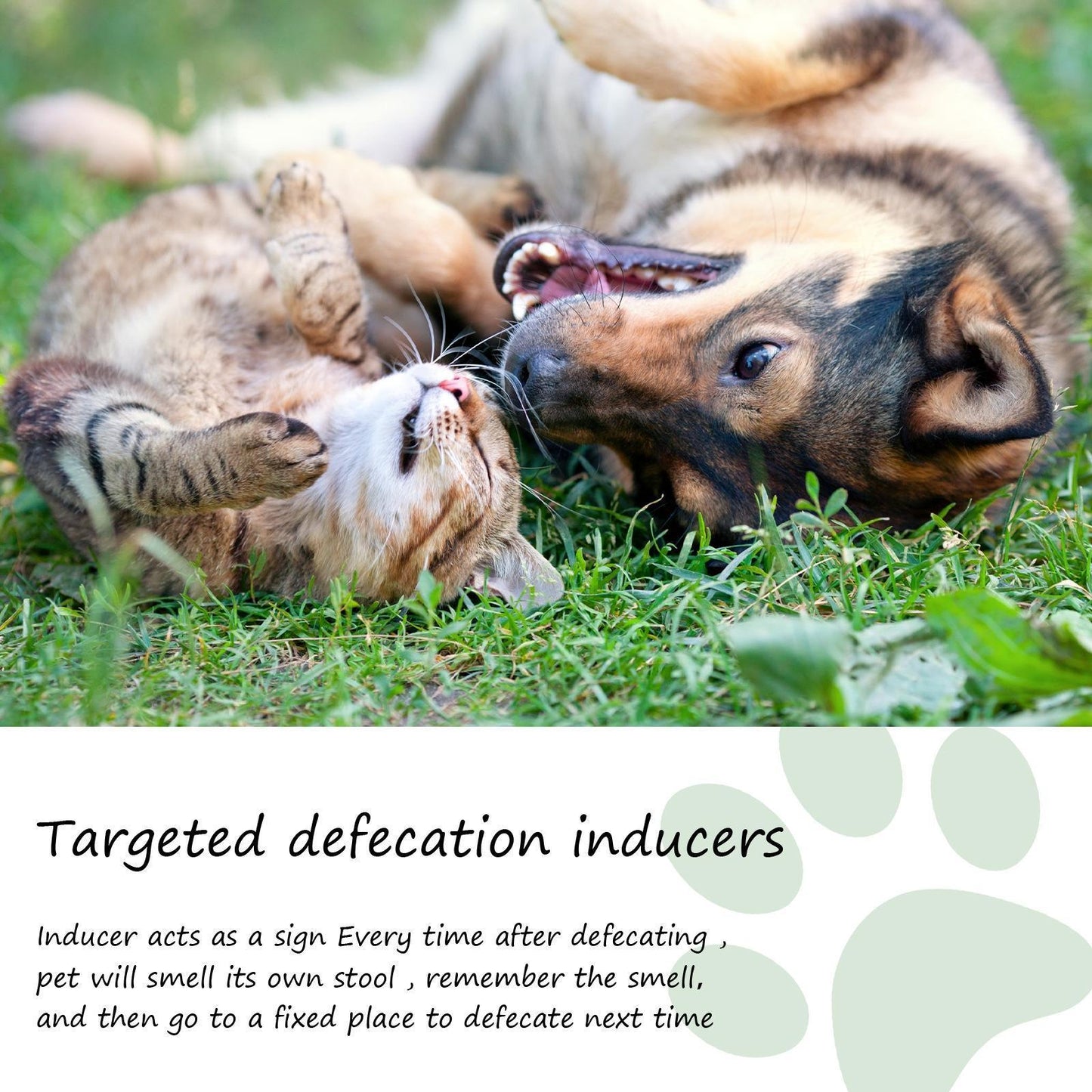 Yibang Pet Positioning Defecation Inducer Pet Toilet Inducer Urine Locator Toilet Training Agent