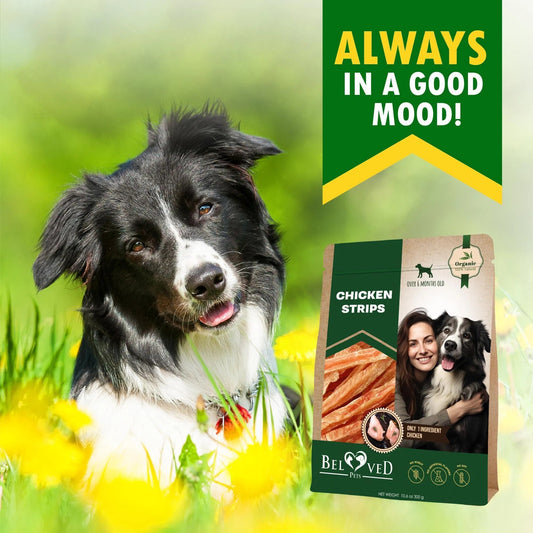 Chicken Strips Dog Treats Human Grade Meat Sticks Grain Free Chews