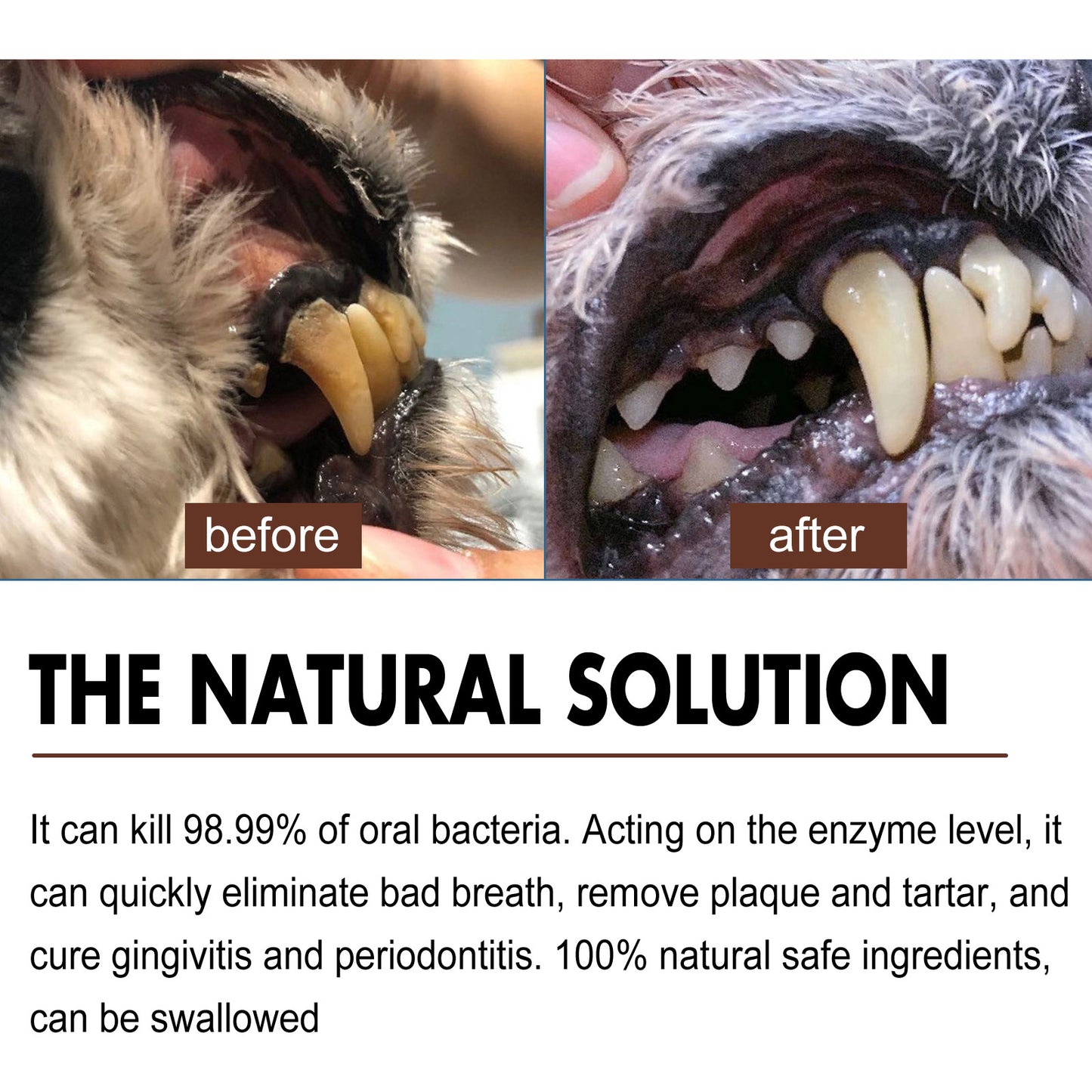 Pet Tooth Cleaning Spray 99% Oral Bacteria Killer Enzyme-Activated Formula Quick Bad Breath Elimination Plaque Tartar Remover Pet Dental Care Spray for Dogs Cats Oral Hygiene Pet Supplies