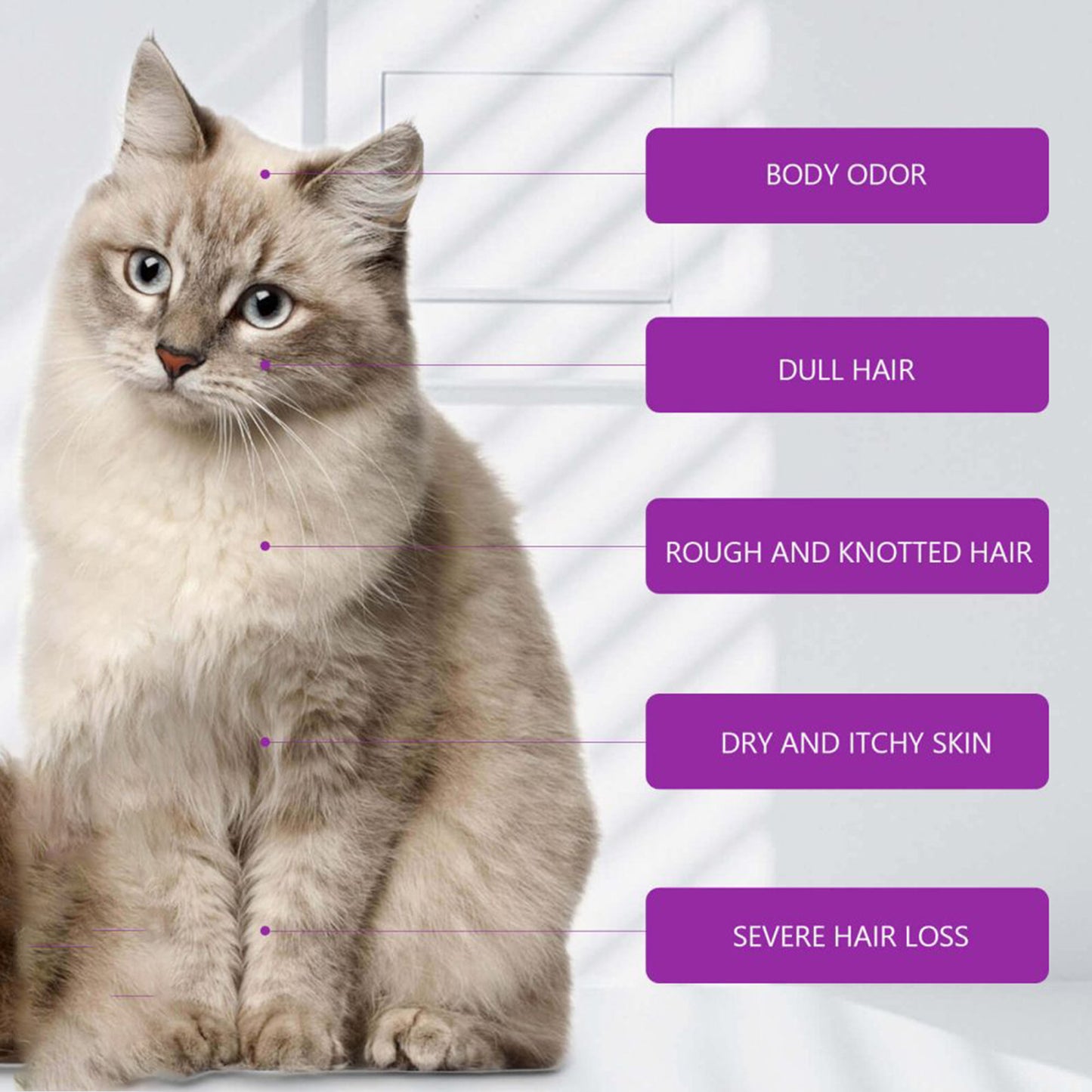 Premium Lavender Oil Pet Shampoo - Mild Plant Formula for Skin pH Balance | Flea Repellent & Deep Cleansing | Fresh Scent for Happy Pets