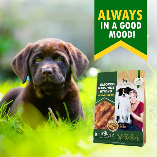 Dog Smoked Rawhide Sticks Wrapped Chicken Pet Natural Chew Treats Grain Free Organic Meat Healthy Human Grade Dried Snacks