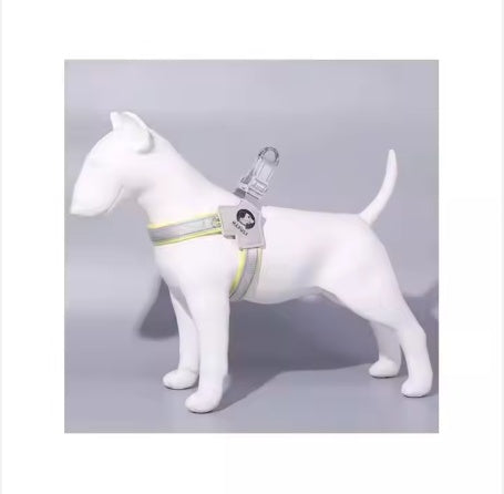 Adjustable & Comfortable YT Pet Harness with Leash Set for Dogs and Cats - Leather - Trimmed, Reflective Design for Easy Control