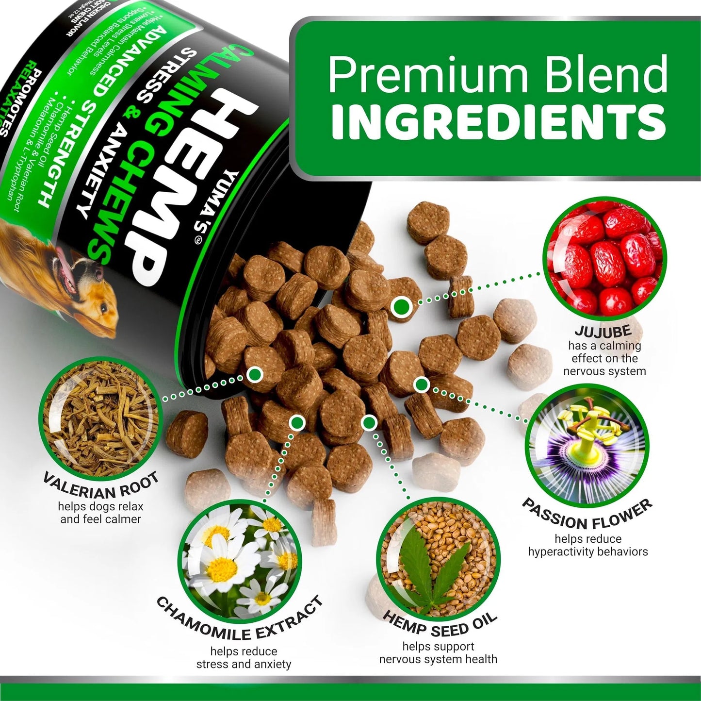 Advanced Natural Hemp Calming Treats for Dogs - 170 Delicious Chews Anxiety Relief for Separation, Barking & Thunderstorms - with Melatonin & Hemp Oil