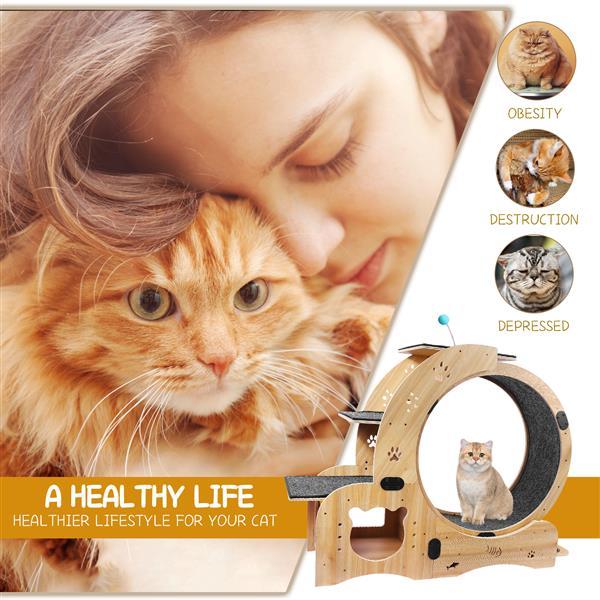 6 in 1 Upgraded Indoor Cat Wheel Sports Device Cat Exercise Wheel Multi Function Cat Fitness Equipment