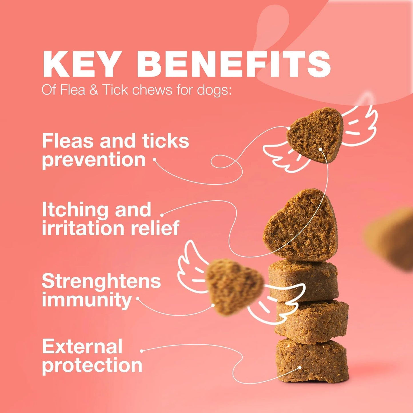 Natural Flea & Tick Prevention Chews for Dogs - Immune Support Delicious Soft Treats - All-Breed Safe Flea Tick Control Vet-Recommended Flea Tick Chews with Immune Boost