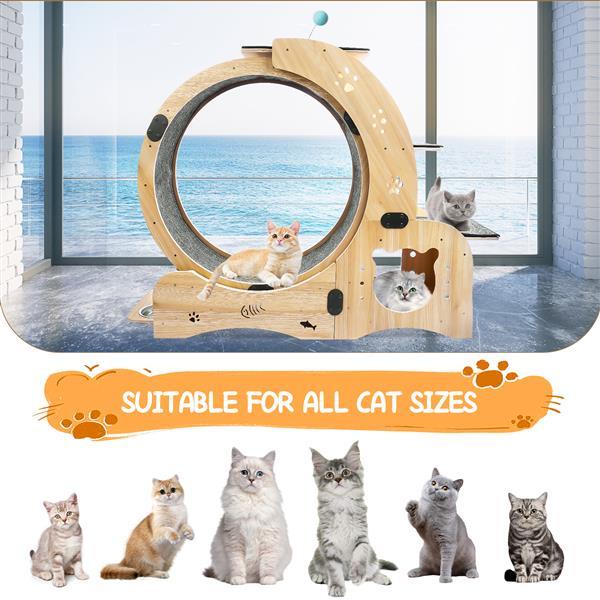 6 in 1 Upgraded Indoor Cat Wheel Sports Device Cat Exercise Wheel Multi Function Cat Fitness Equipment