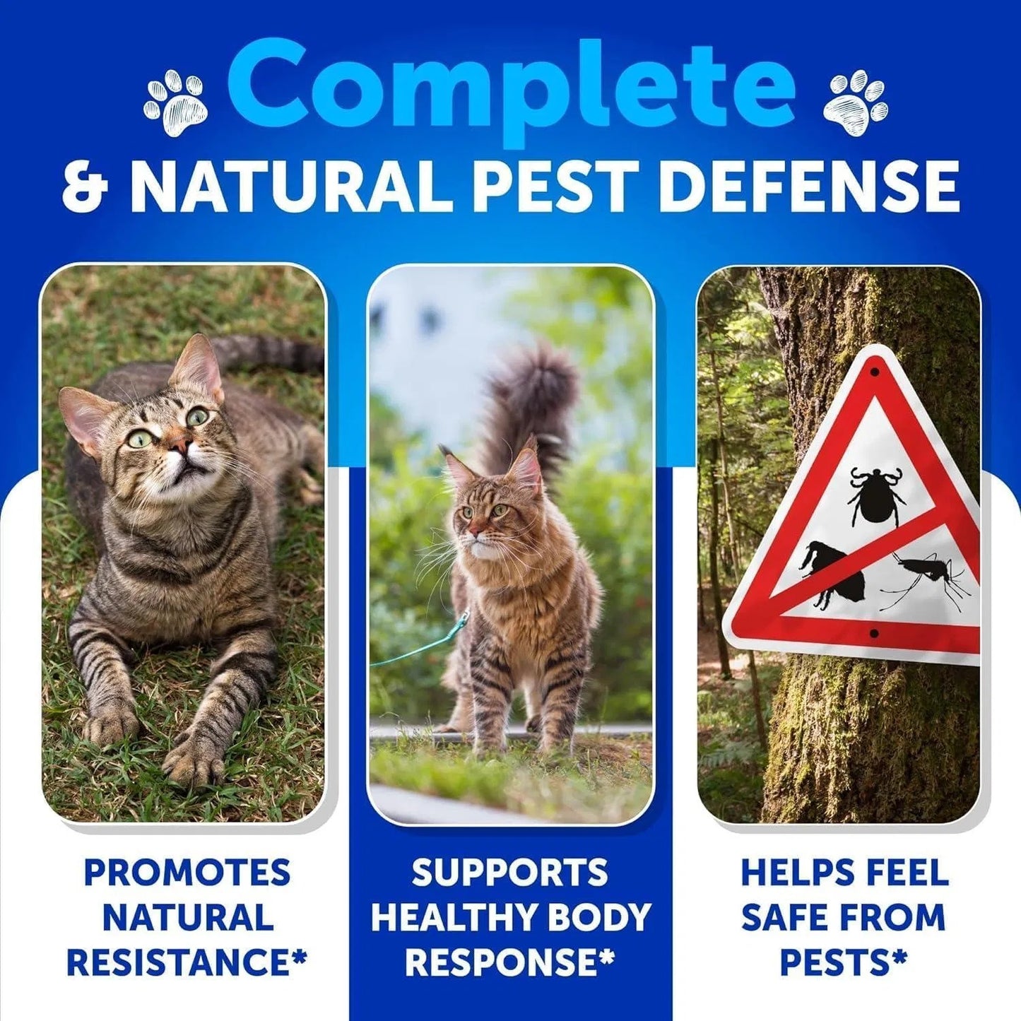 Natural Flea & Tick Prevention Soft Chews for Cats & Kittens 135 Count - Daily Oral Treats with Vitamins Skin & Coat, Dental Health & Digestive Support