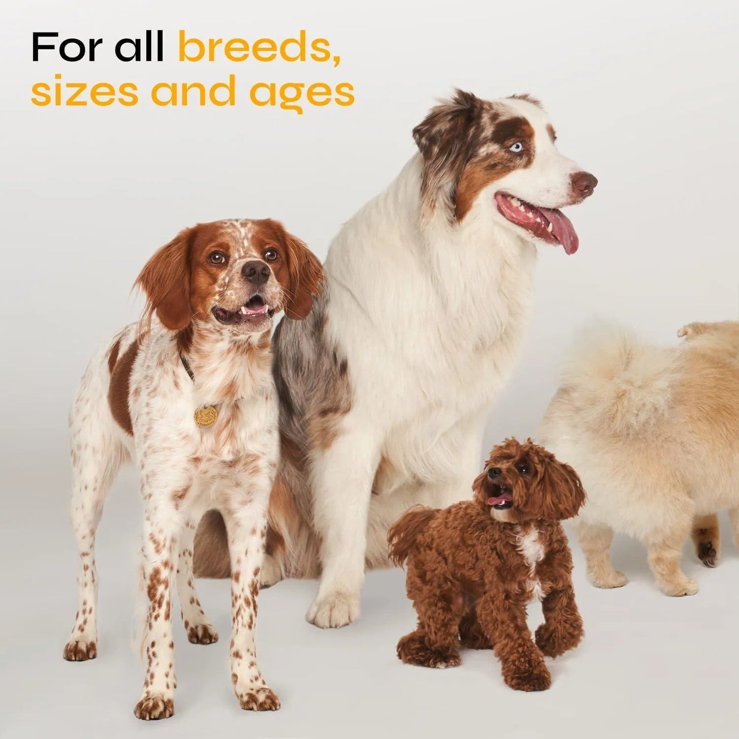 Vet-Formulated Flea & Tick Prevention Chews for Dogs Immune Support + Flea Tick Control - Soft Treats All Breeds & Ages - Natural Flea Tick Supplement