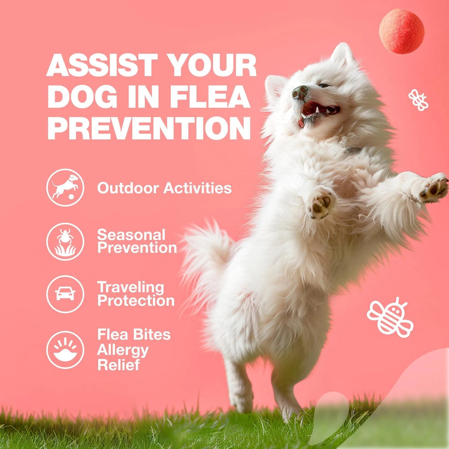 Natural Flea & Tick Prevention Chews for Dogs - Immune Support Delicious Soft Treats - All-Breed Safe Flea Tick Control Vet-Recommended Flea Tick Chews with Immune Boost