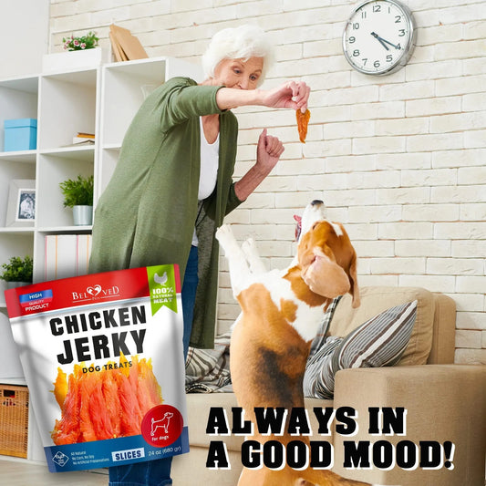 1.5lb Human Grade Chicken Jerky Dog Treats - Grain Free Organic High Protein Dried Strips - All Natural Best Training Chews for Small & Large Dogs