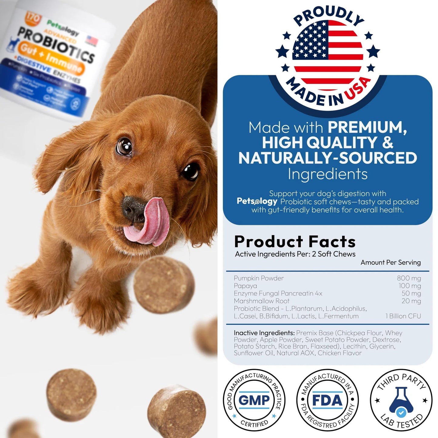 Probiotic Chews for Dogs - 170 Count with Digestive Enzymes & Prebiotics - Gut Health Support Relieves Diarrhea, Gas & Constipation - Allergy Itchy Skin Yeast Balance - All Breeds & Ages Pet Supplement