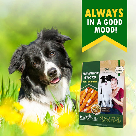 Premium Dog Sticks - Chicken Wrapped Natural Chews | Grain-Free Organic, Human-Grade Dried Treats | Bulk for Training Small to Large Dogs